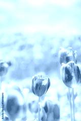 preview cold