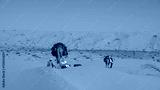 preview cold