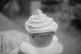 preview bw