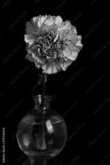 preview bw