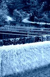 preview cold