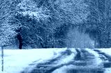 preview cold
