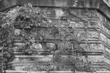 preview bw