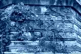 preview cold