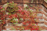 preview original