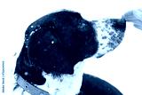 preview cold
