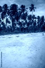 preview cold