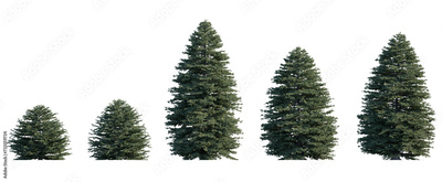 image to crop