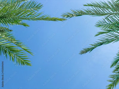 image to crop