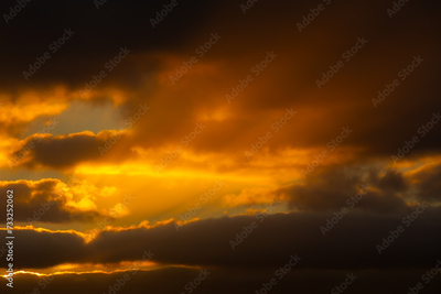 image to crop