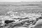 preview bw