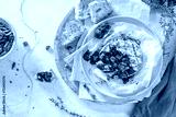 preview cold