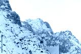 preview cold