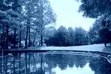 preview cold
