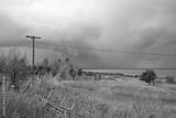 preview bw