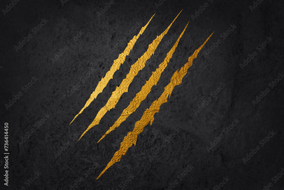 image to crop