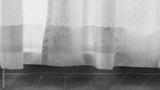 preview bw