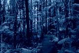 preview cold