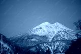 preview cold