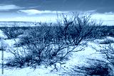 preview cold