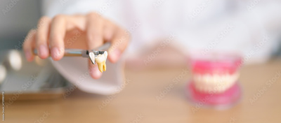 image to crop