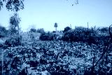 preview cold