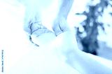 preview cold