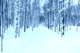 preview cold