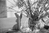 preview bw