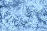 preview cold