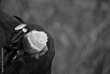 preview bw