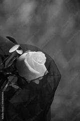 preview bw