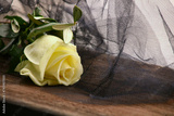 preview original