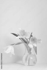 preview bw