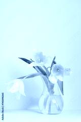 preview cold
