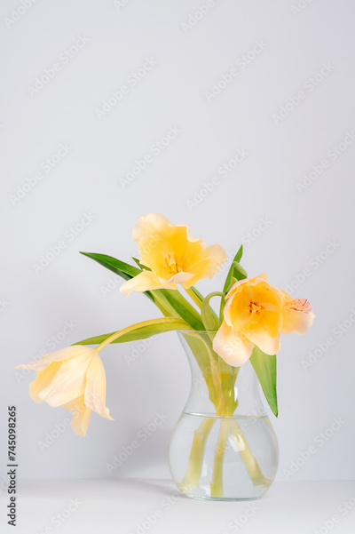 image to crop