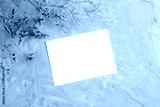preview cold