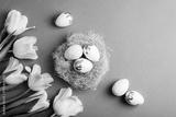 preview bw