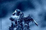 preview cold