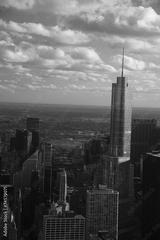 preview bw