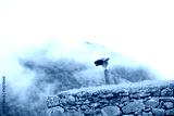 preview cold