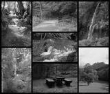 preview bw