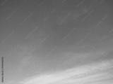 preview bw