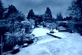 preview cold