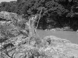 preview bw