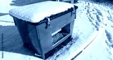 preview cold
