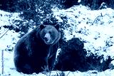 preview cold
