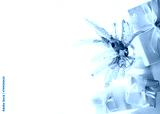 preview cold