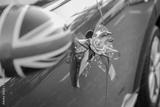 preview bw