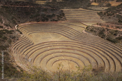 image to crop
